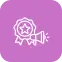 Website Icon